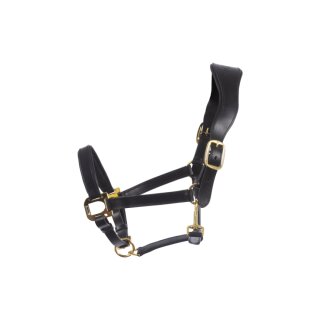Cavallo Ronja Hafter