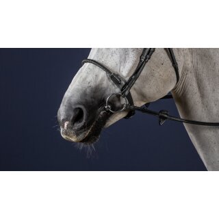 Dyon Trense mit Rope Noseband schwarz