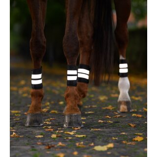 Reflex Bandagen, Satz, silber