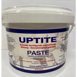 Uptite Paste Regenerationsmittel Paste10 kg