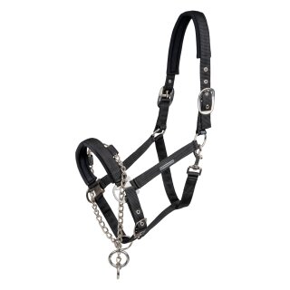 Waldhausen Halfter Control mit Kette