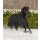 Outdoordecke Nordic, 100 g, schwarz, 135 cm
