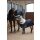 Eskadron ZETA 200 SHETTY Stalldecke Core