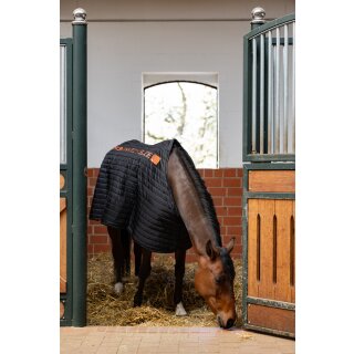 Eskadron ANTI SLIP 200 Unterdecke Core