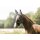 Eskadron FLY MASK Fliegenmaske Core