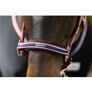 Eskadron PIN BUCKLE Halfter Core
