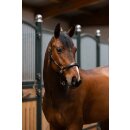 Eskadron LEATHER ELEGANCE Halfter Core