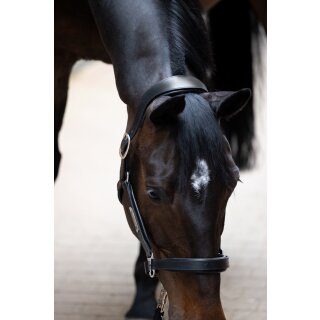 Eskadron LEATHER STALLION Halfter Core