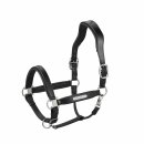 Eskadron LEATHER STALLION Halfter Core