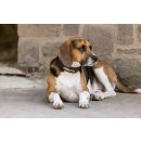 Eskadron LEATHER Hundeset Core