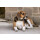 Eskadron LEATHER Hundeset Core