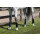 Eskadron FLEXISOFT CROSS COUNTRY F Gamaschen Core