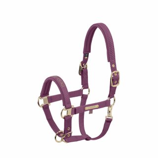 Eskadron GIRTH DOUBLE PIN Halfter Heritage 25/26