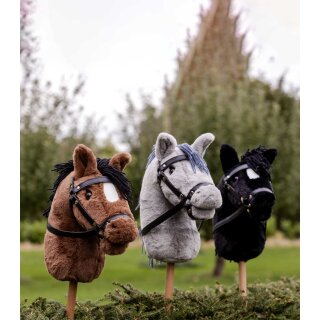 Hobby Horse
