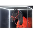 Eskadron BETA 50 Weidedecke DYNAMIC 25 A/W
