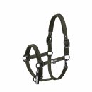 Eskadron DOUBLE PIN Halfter DYNAMIC 25 A/W
