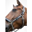 Eskadron DOUBLE PIN Halfter Classic Sports 26 S/S