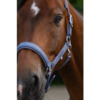 Eskadron SPARKLE DOUBLE PIN Halfter Classic Sports 26 S/S
