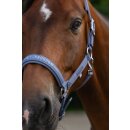 Eskadron SPARKLE DOUBLE PIN Halfter Classic Sports 26 S/S