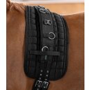 Waldhausen Longiergurt Supersoft