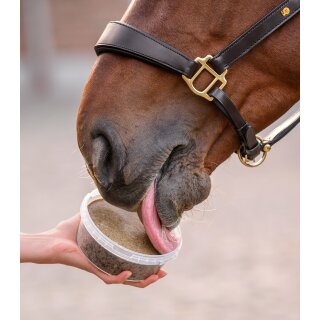 StableSnack Leckschale