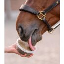 StableSnack Leckschale