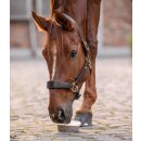StableSnack Leckschale