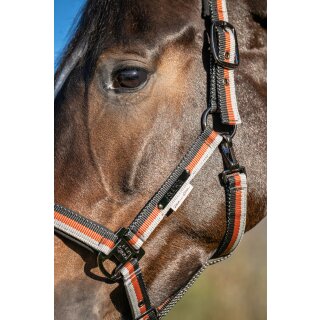 Eskadron GIRTH LIGHT DOUBLE PIN Halfter Platinum 26 S/S