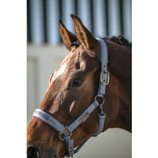 Eskadron SPARKLE DOUBLE PIN Halfter Platinum 26 S/S