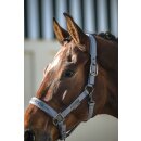 Eskadron SPARKLE DOUBLE PIN Halfter Platinum 26 S/S