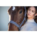 Eskadron SPARKLE DOUBLE PIN Halfter Platinum 26 S/S