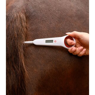 Digital-Fieberthermometer für Pferde