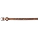 Sporenriemen Metallic braun-silber