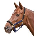 Halfter EQ Stretch Pony schwarz/schwarz EQuest