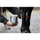 Leovet Cellsius Gel für Pferde 600ml