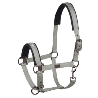 Eskadron Halfter Glossy Platinum Pure P2