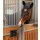 Waldhausen Boxenschild Metall