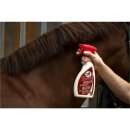 Leovet 5 Sterne Striegel 550ml Sprühflasche