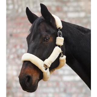 Waldhausen Halfter Cozy