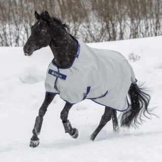 Bucas Power Turnout Extra 300gr silver 125