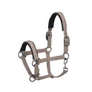 CLASSIC FS21 DOUBLEPIN SOFTSHELL Halfter tendertaupe P2