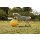 Maximus Power Play Ball 65cm