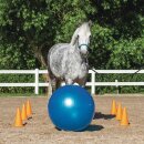 USG AGILITY SET FÜR PFERDE