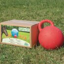 USG AGILITY SET FÜR PFERDE