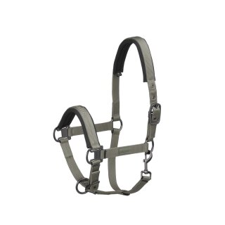 REFLEXX FS21 Halfter PINBUCKLE