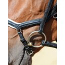 Busse Trense EMOTION
