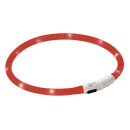 LED-Halsband Maxi Safe