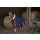 Stalldecke Teddy mit synt.Lammfellfutter