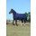 Bucas Irish Combi Neck navy/gold