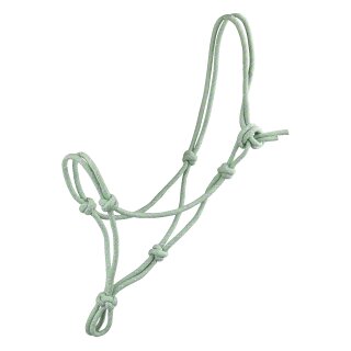 Knotenhalfter pastellgreen/metall VB